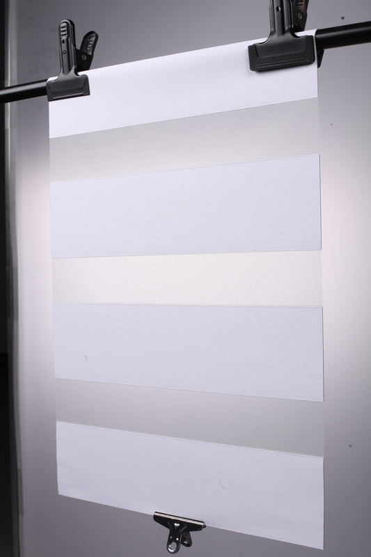Zebra Blinds