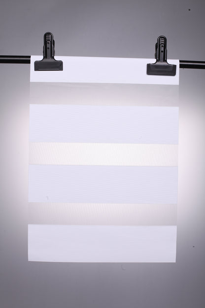 Zebra Blinds