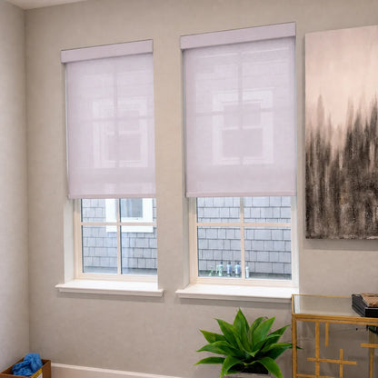 Pure Calm Light Filtering Roller Shades Dallas 1103 effect image